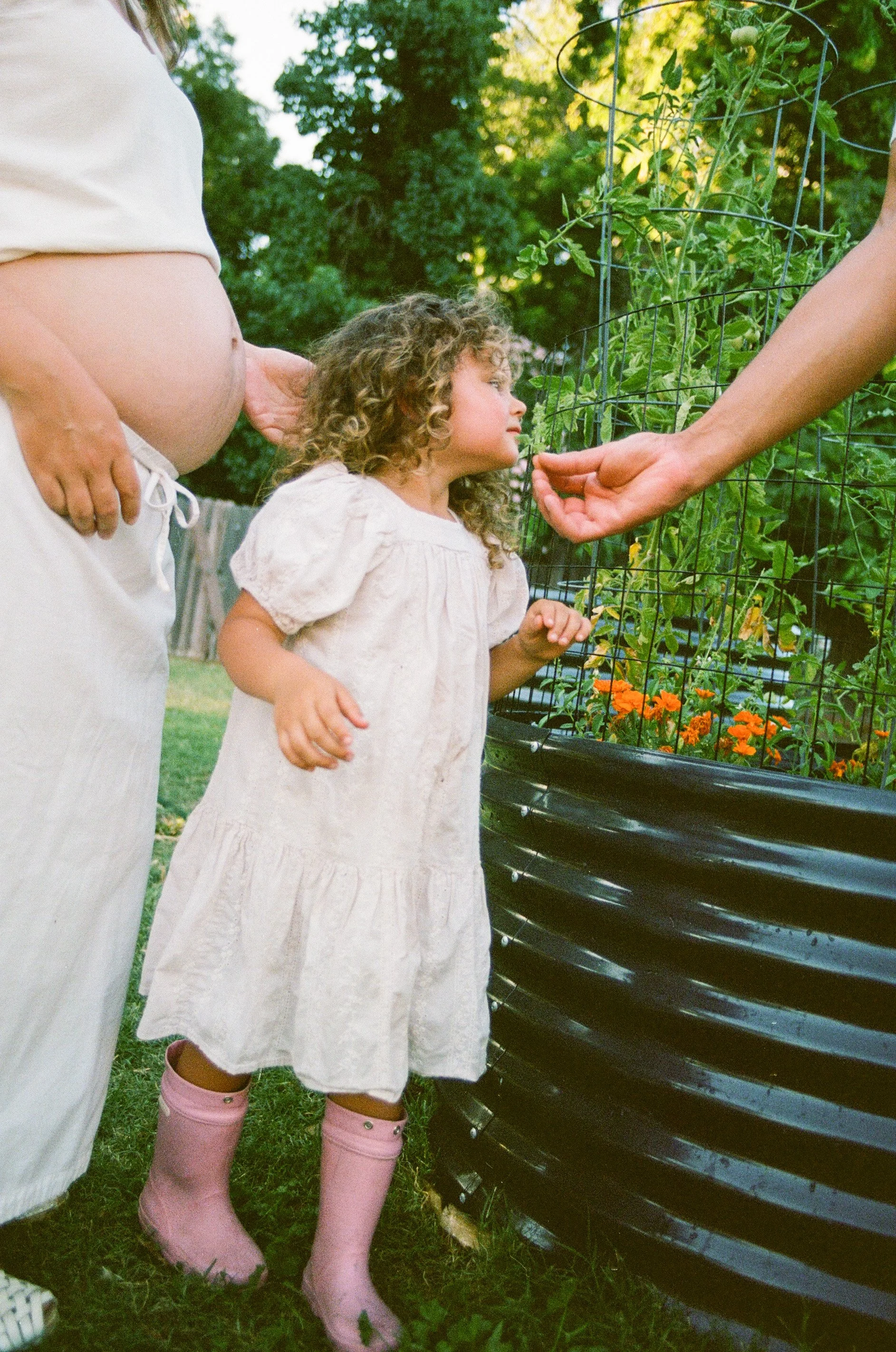 sacramento-family-photographer-3.jpg