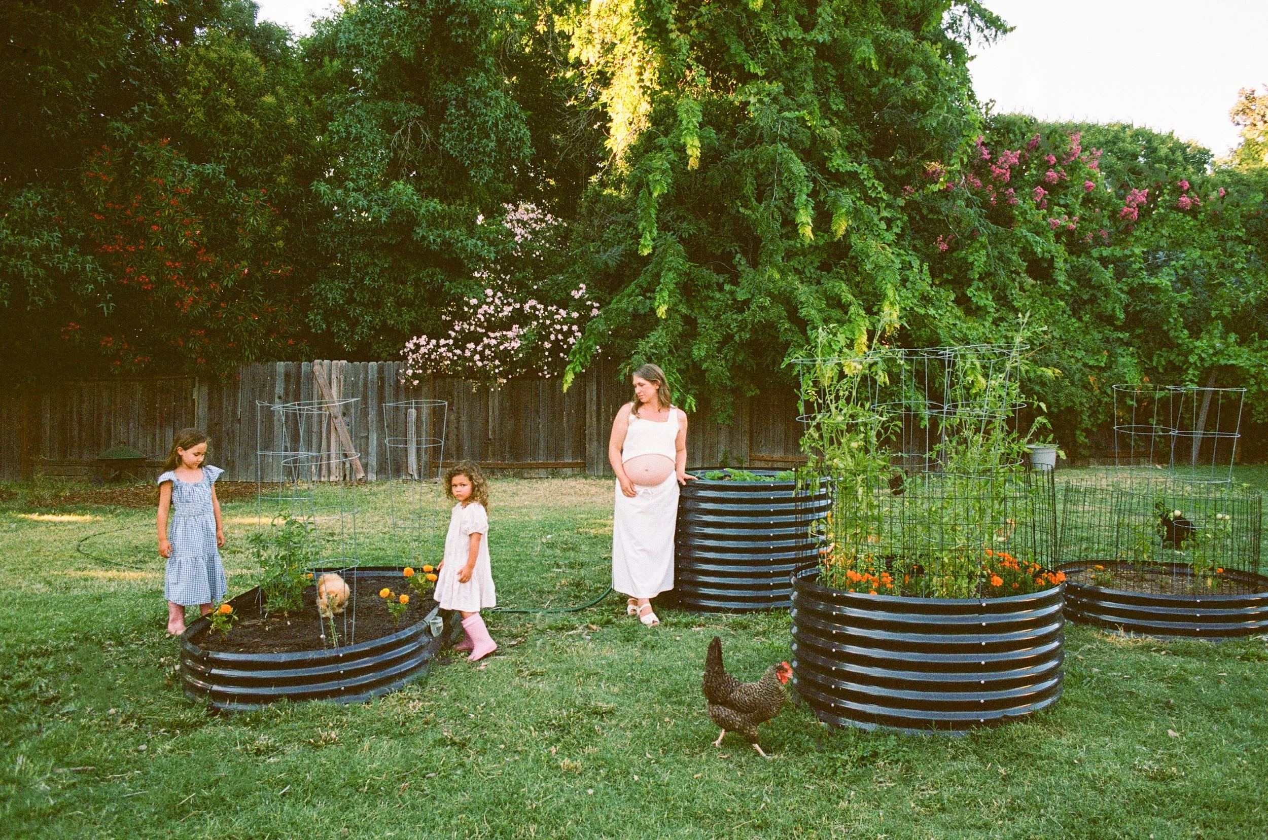 sacramento-family-photographer-12.jpg
