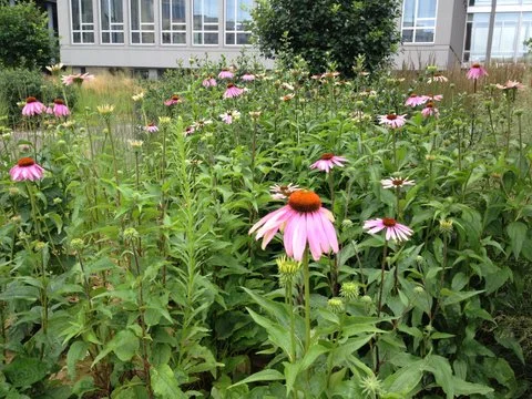 iphone 10.12.13 074.JPG