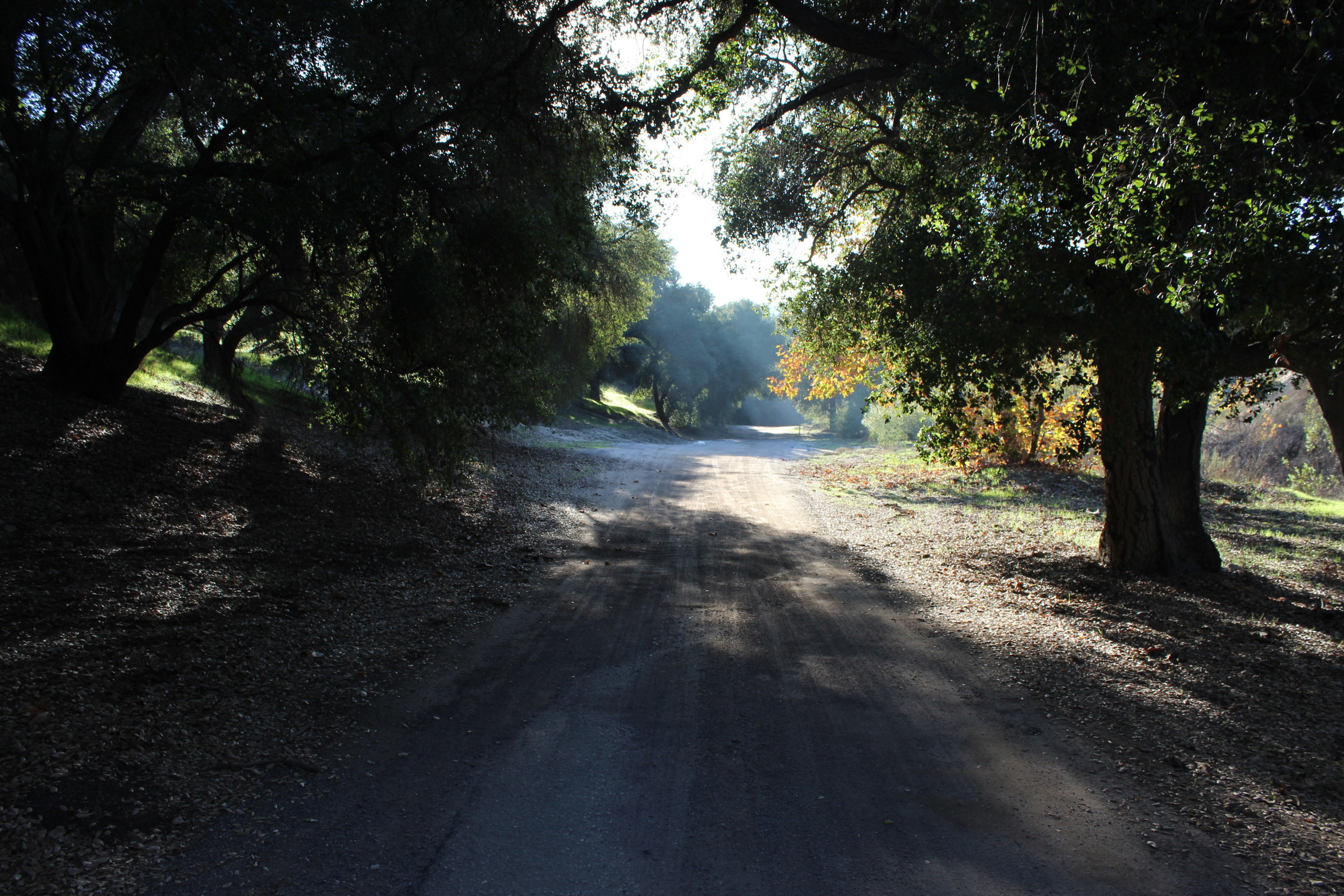 IMG_7132.JPG