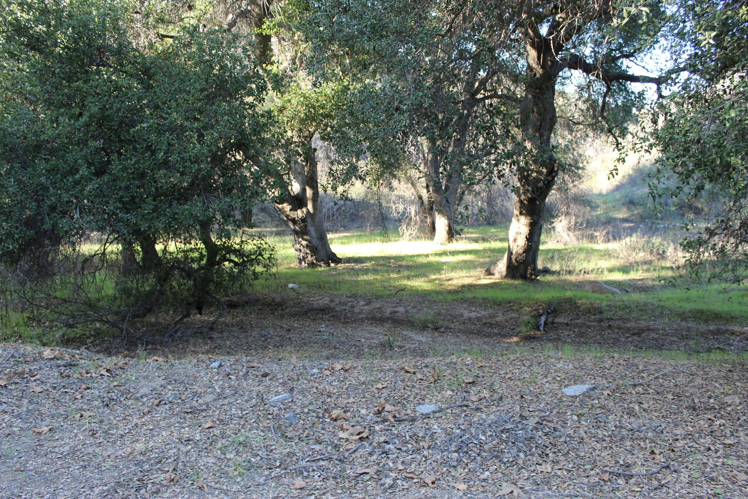 IMG_7134.JPG