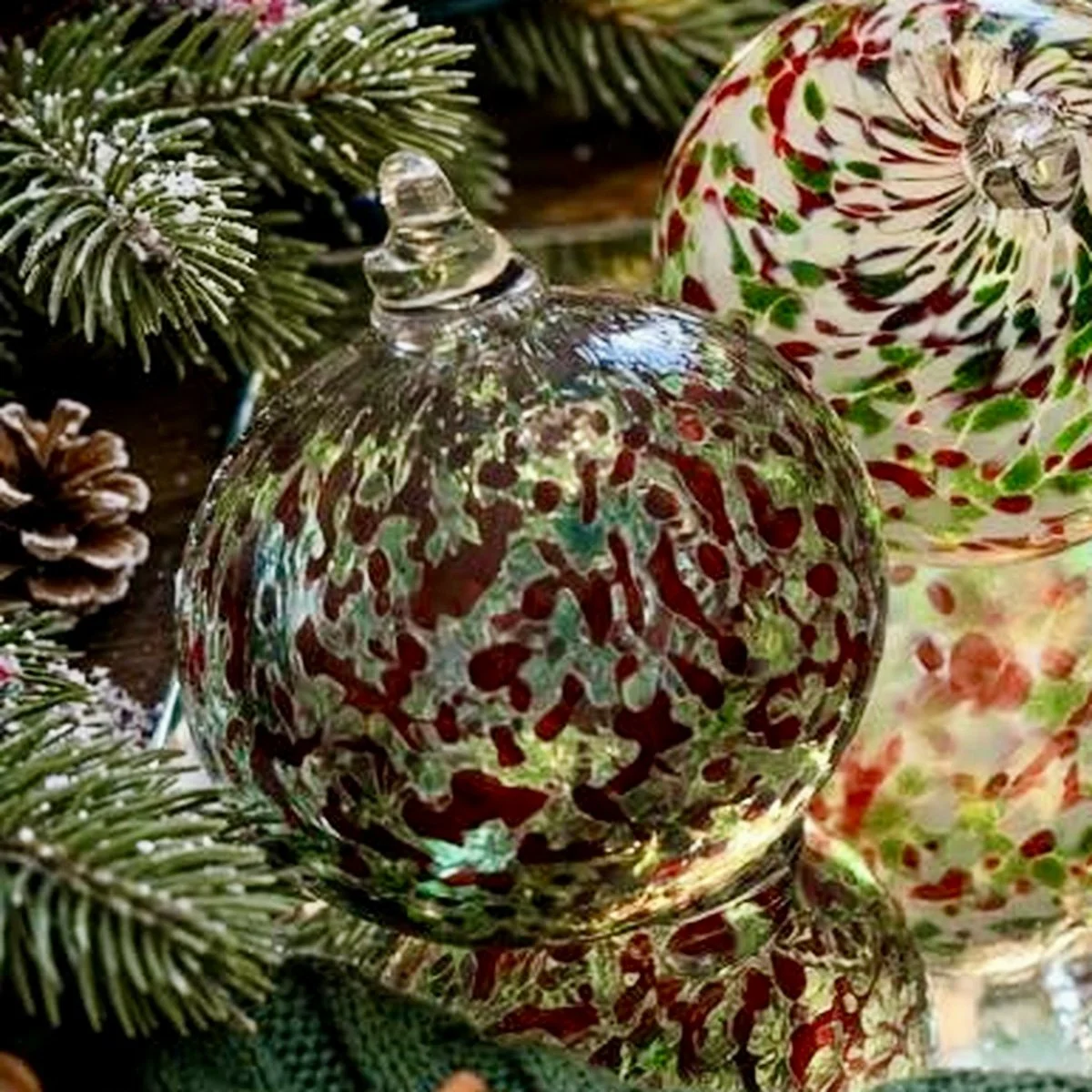 evergreen-ember_closeup.jpg