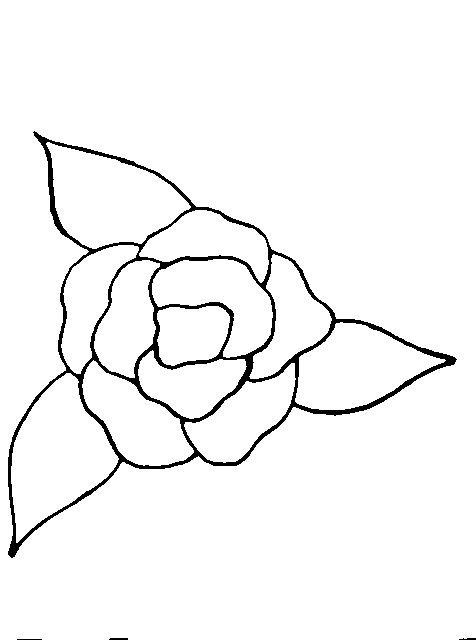 Ed Streeter's Rose Pattern.png