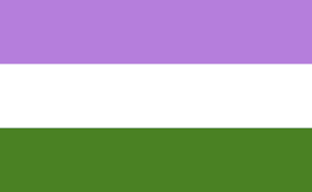 gender queer flag.png