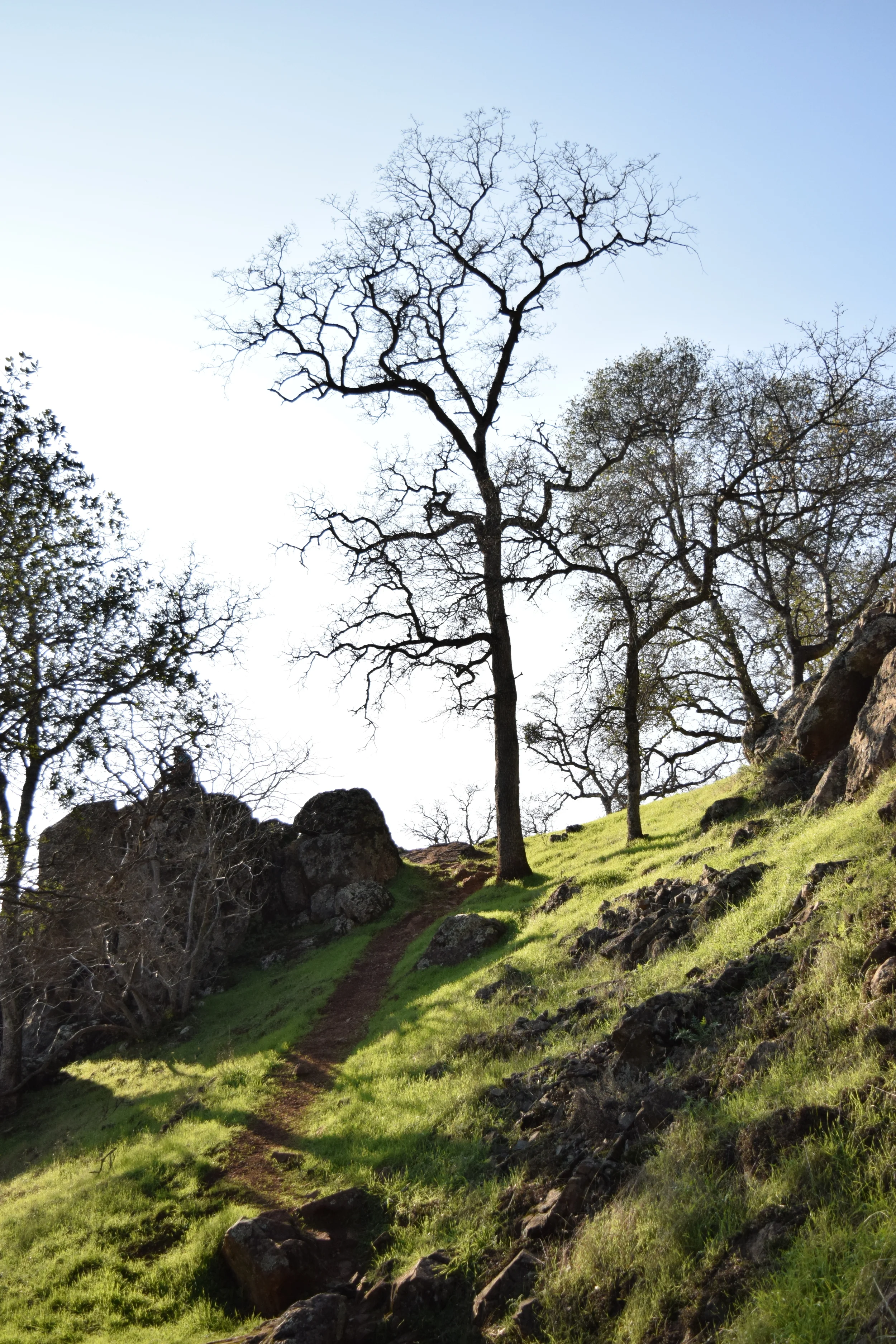 Discovering the Peace Within Workshop Series