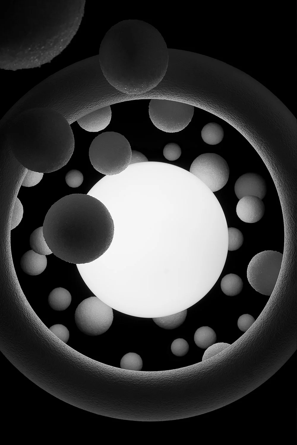 float00342 2.jpg