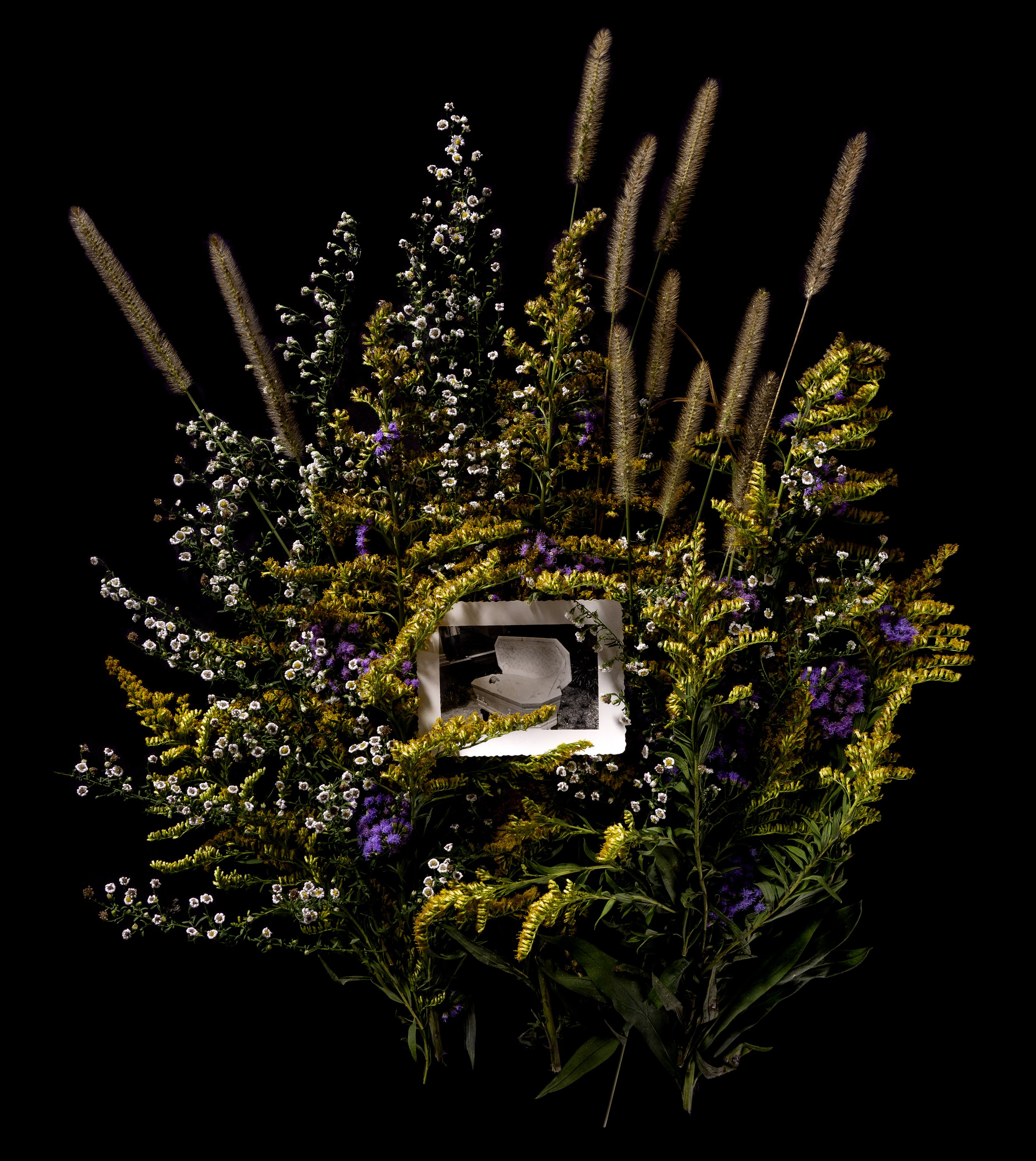 They'll Bring Me Flowers When I'm Dead.jpg