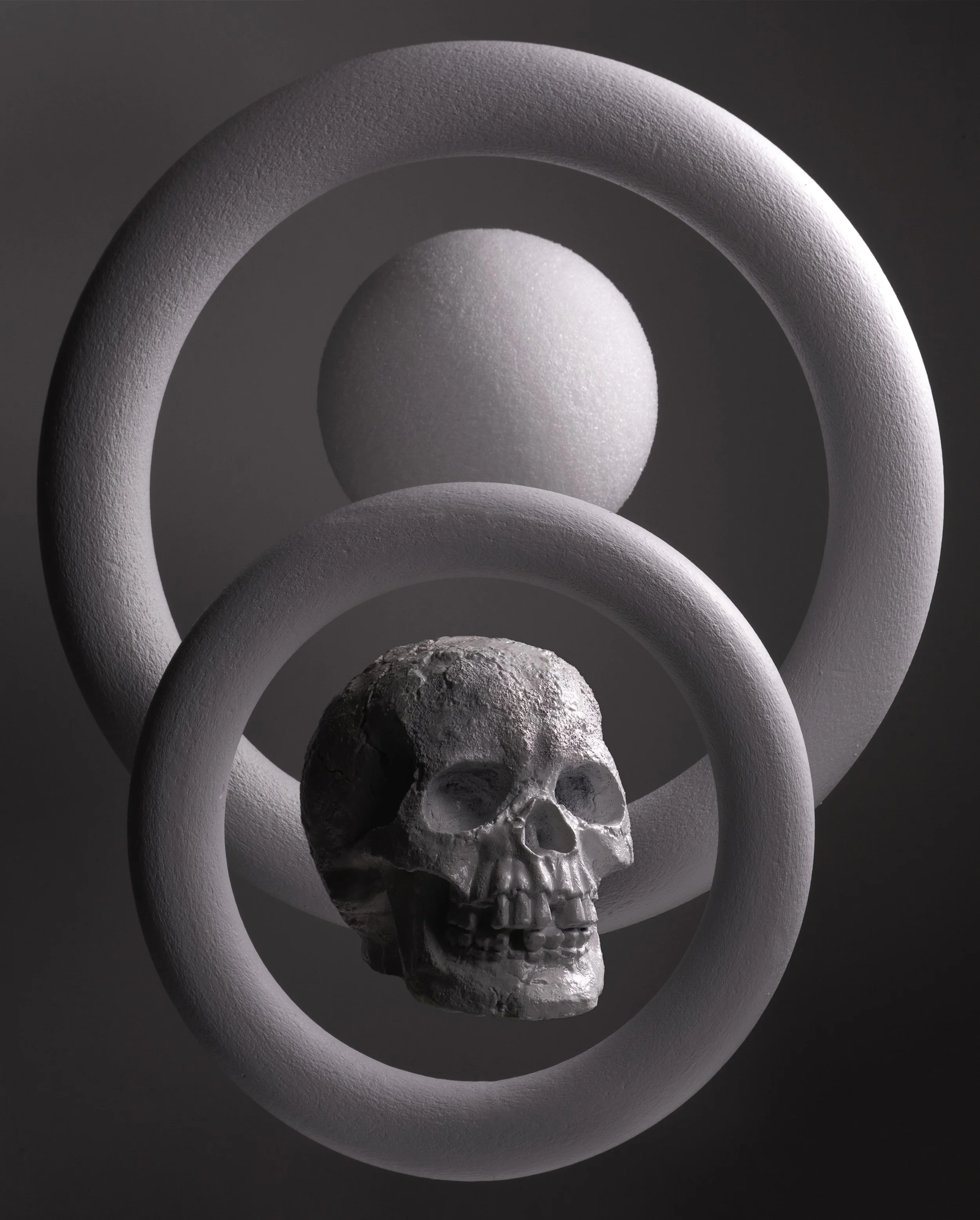 Skull_0113 3.jpg