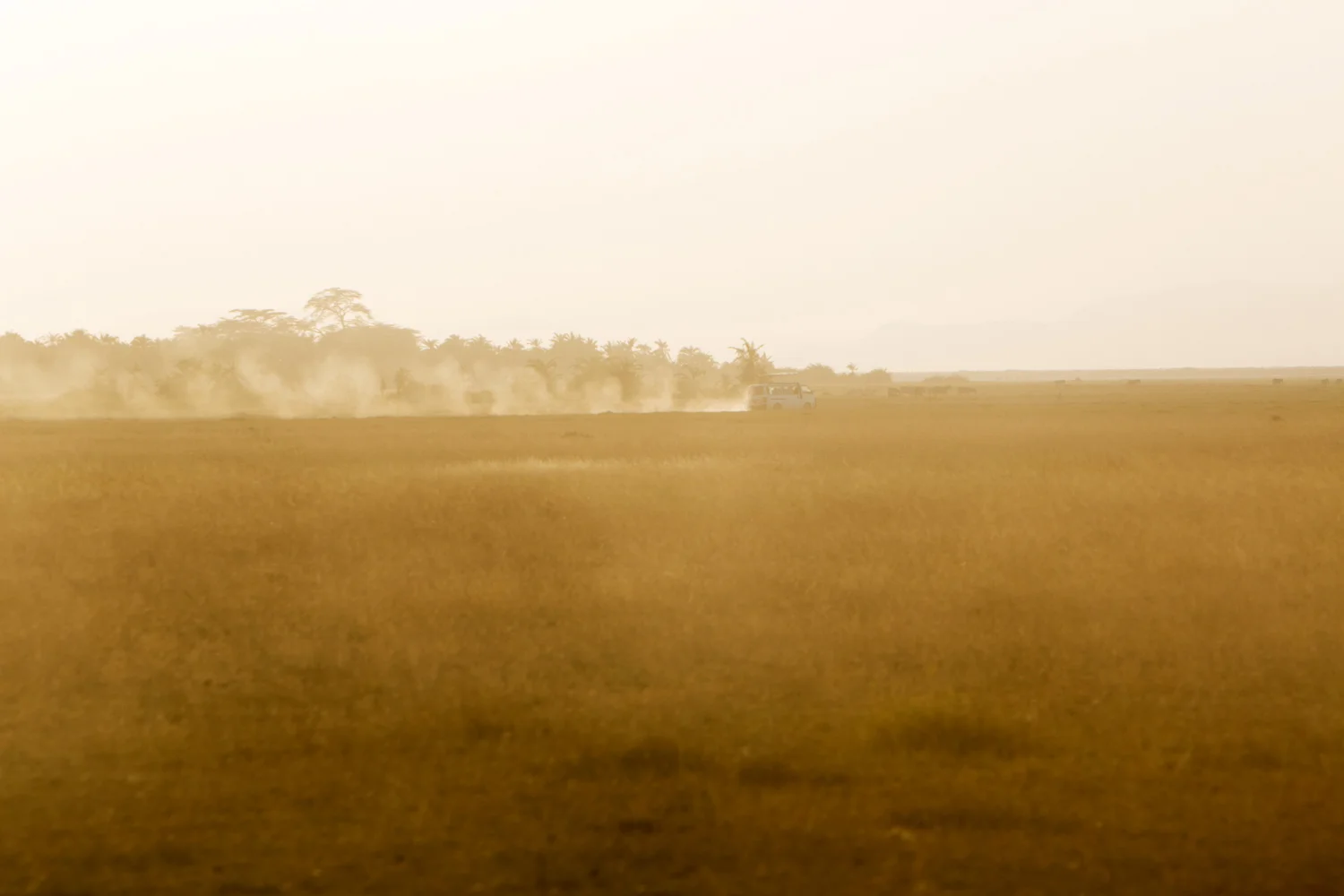 Michael-Berman-3S2A4824-Edit.jpg