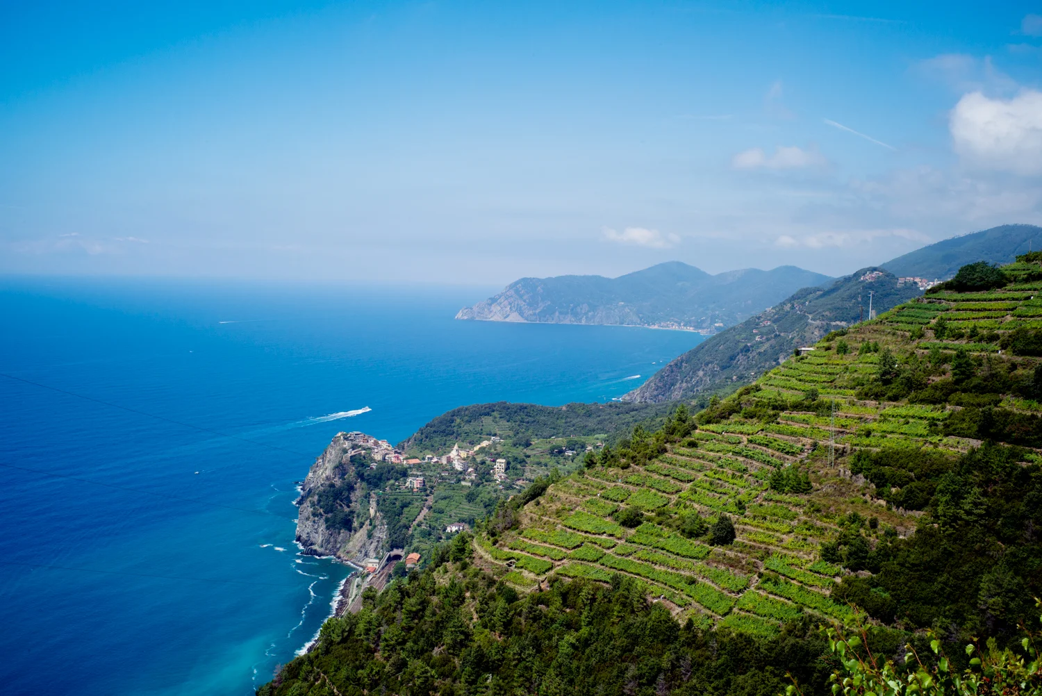 From the trail between Corniglia & Manarola
