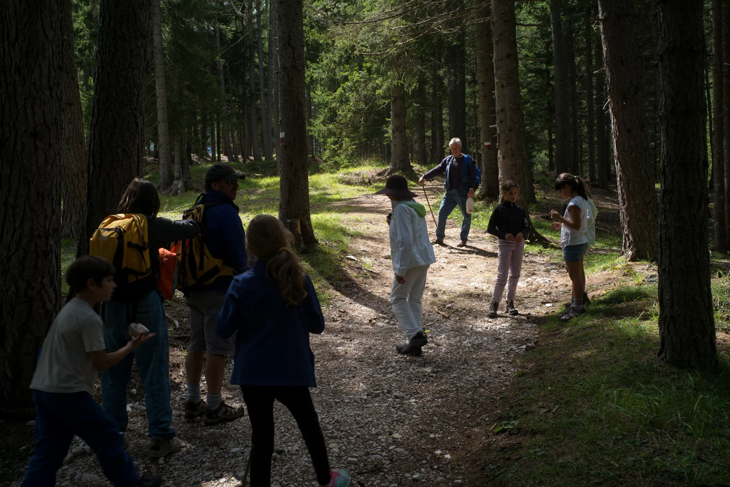 Hiking near Cortina d'Ampezzo