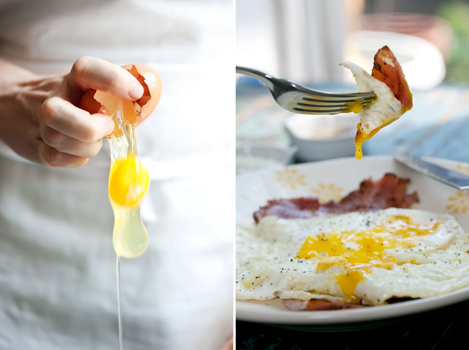 Michael-Berman-Eggs-White.jpg