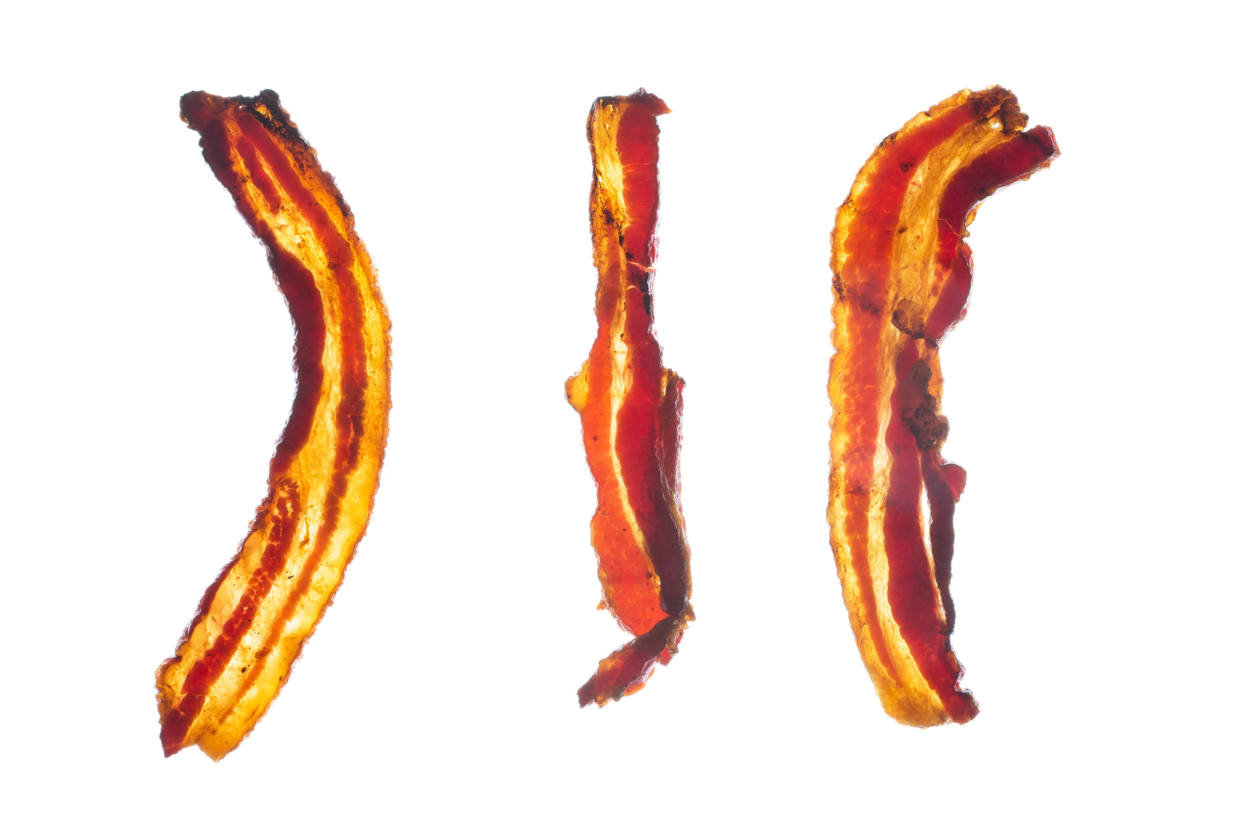 Translucent Bacon
