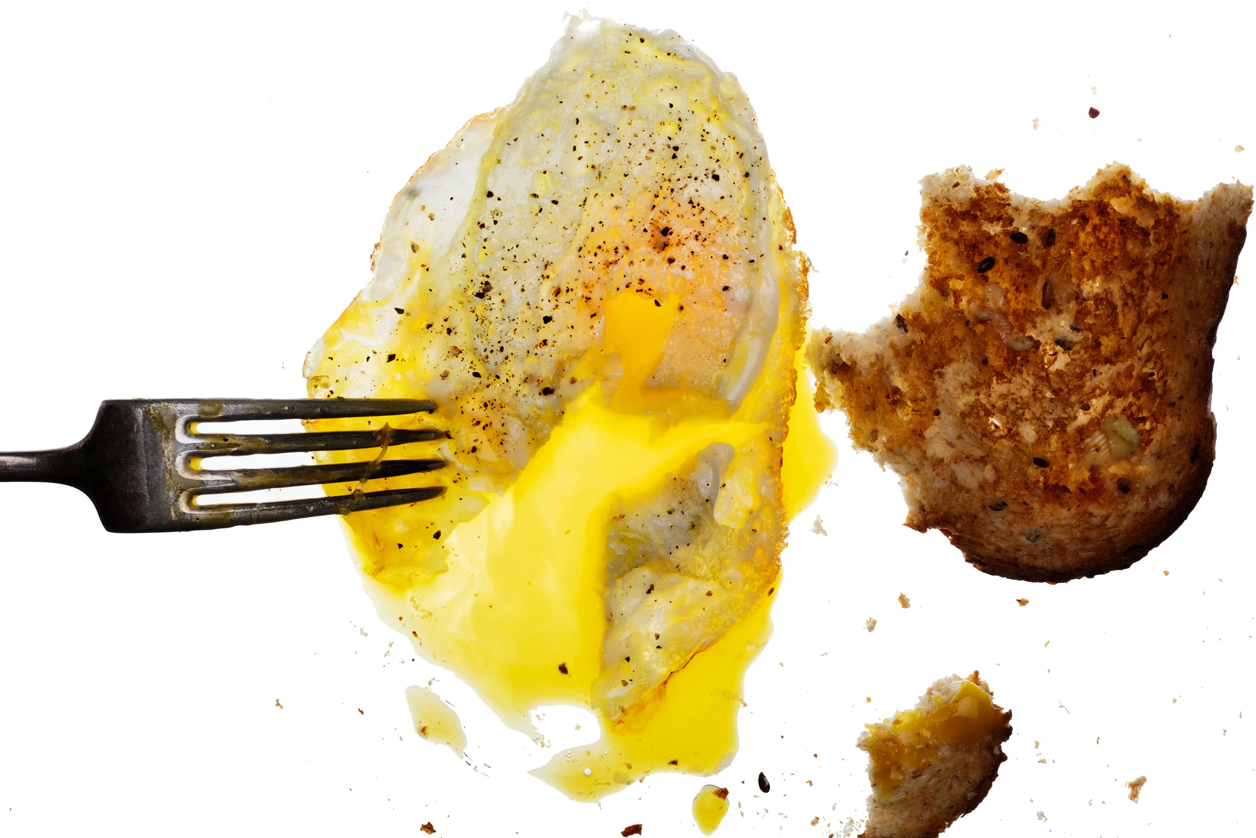 Fried egg and toast