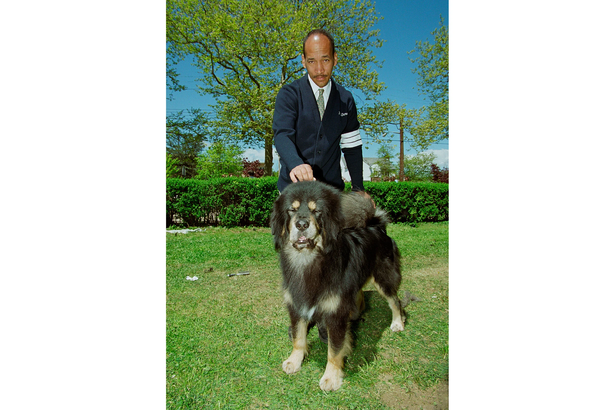 Dog Trainer, Manhattan Beach
