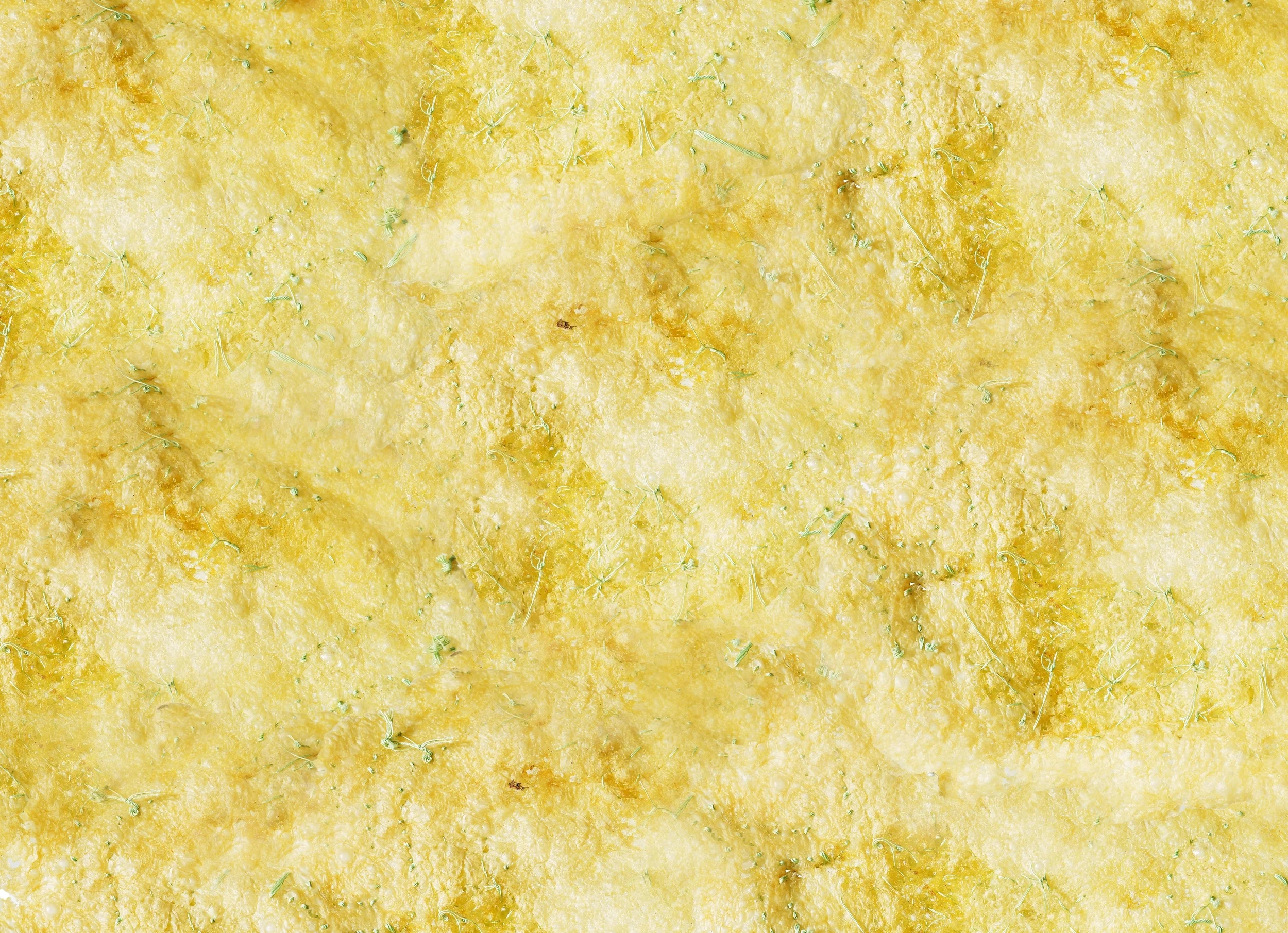 Solo Exhibition of Lai Dieu Ha: CONSERVATION OF VITALITY