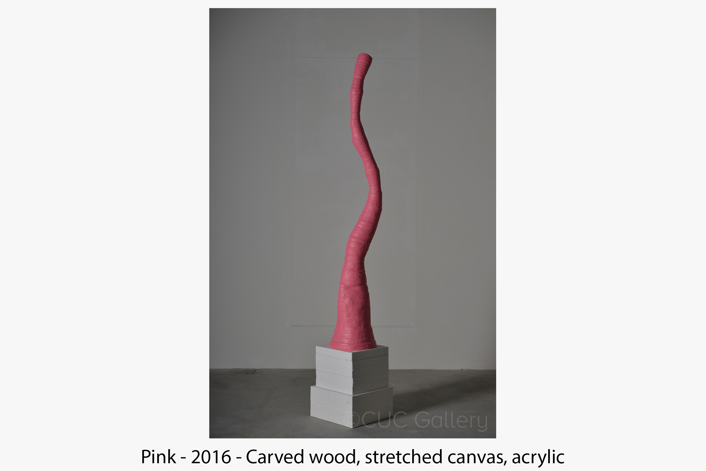 Pink 2016.jpg