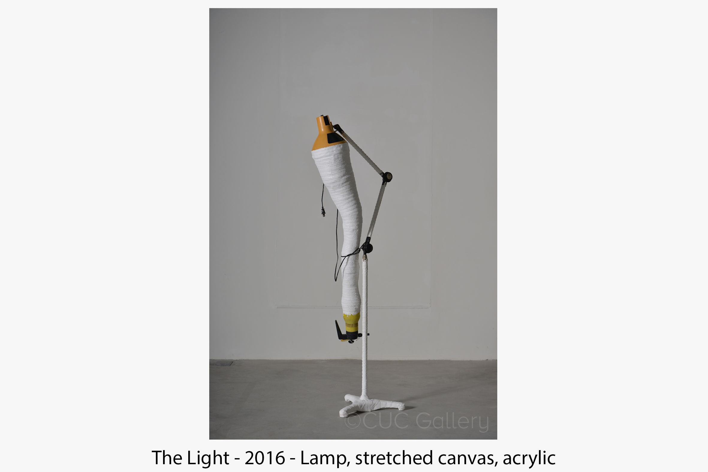 The Light 2016.jpg