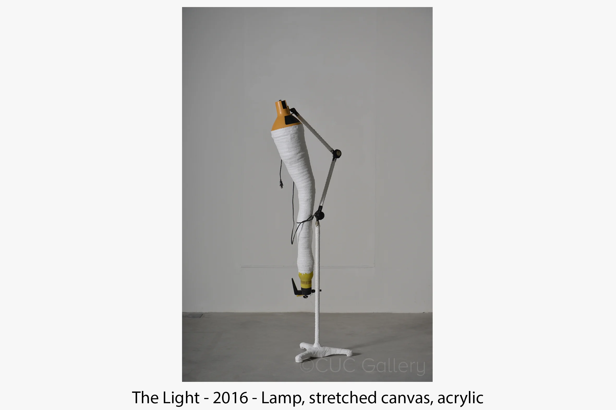 The Light 2016.jpg