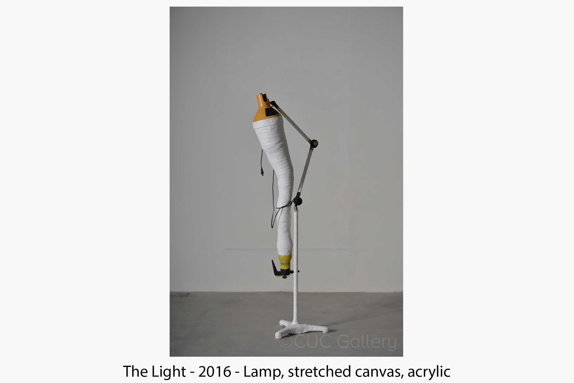 The+Light+2016 (1).jpg