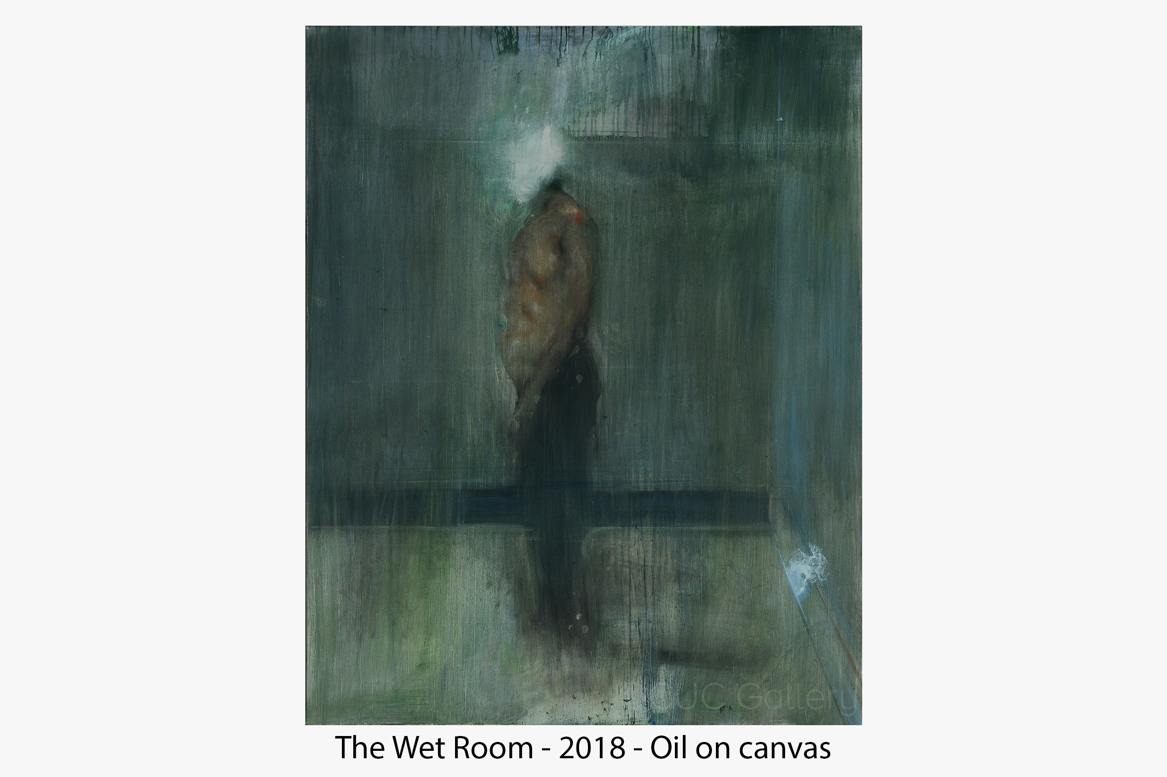 web DHT - the wet room.jpg
