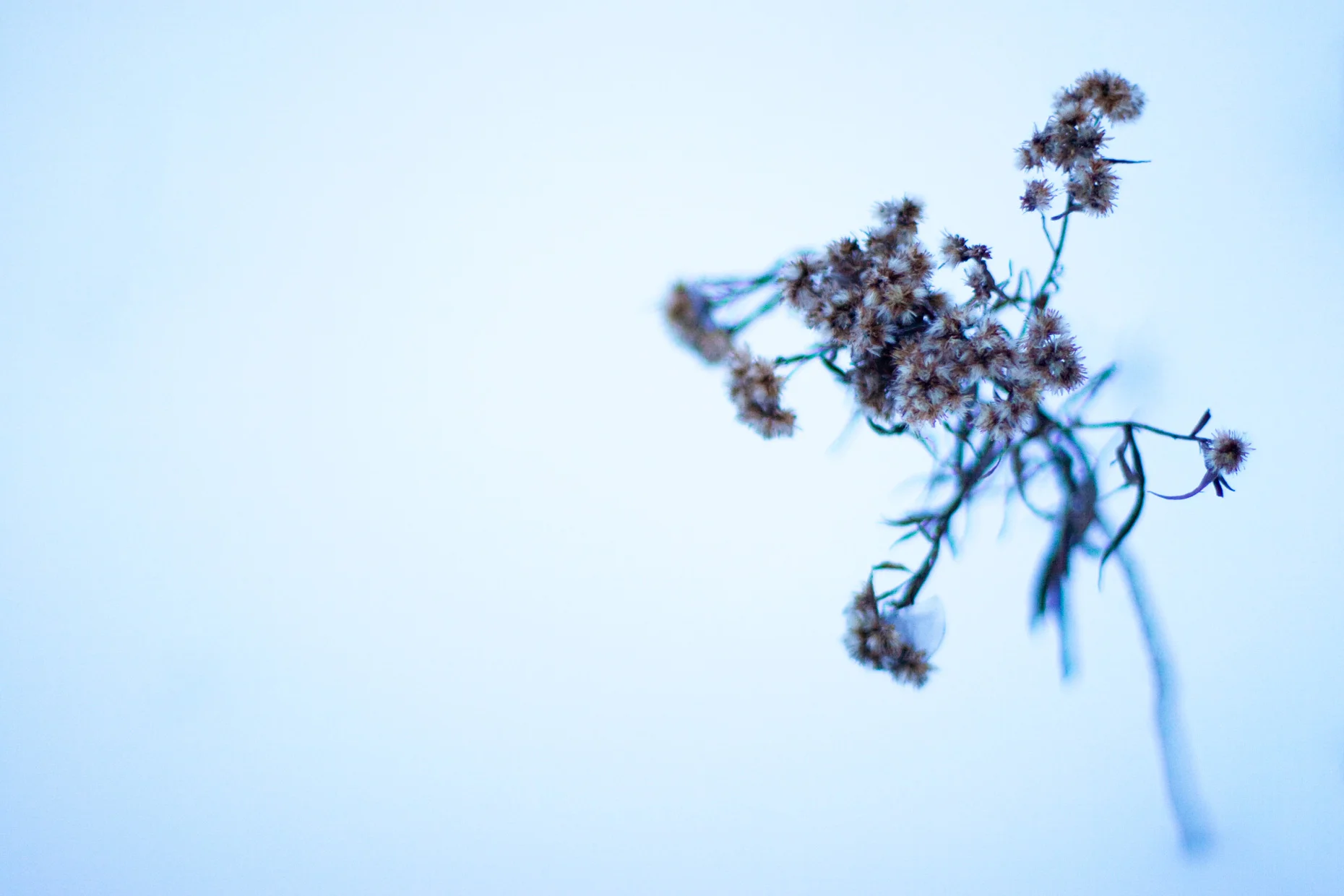 © 2014 Jeff Mikkelson