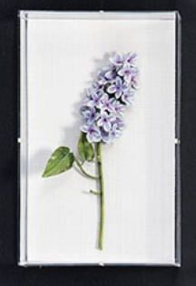 Screen Shot 2021-02-10 at 10.28.18 PM.png