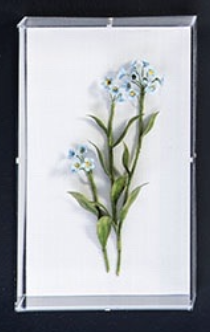 Screen Shot 2021-02-10 at 10.29.36 PM.png