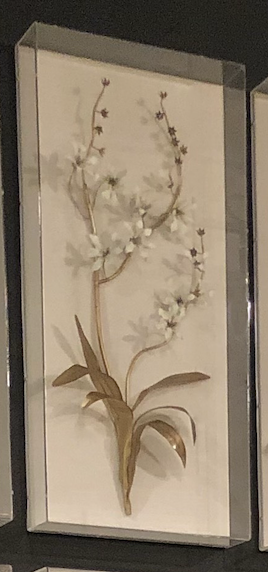 Screen Shot 2021-02-11 at 9.24.27 AM.png