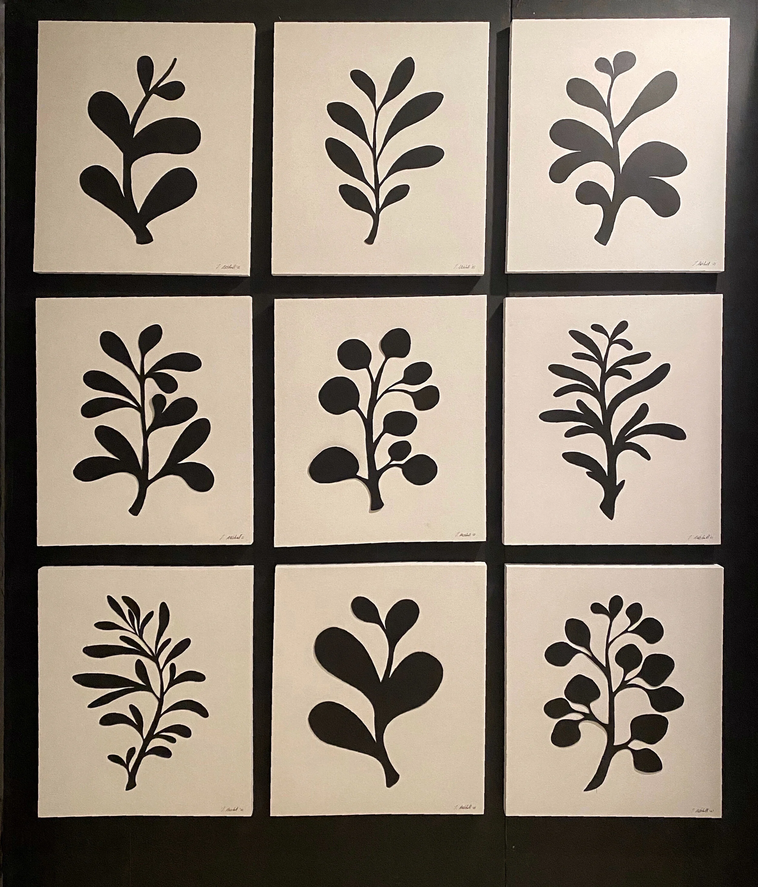 Abstract Flora Black.jpeg