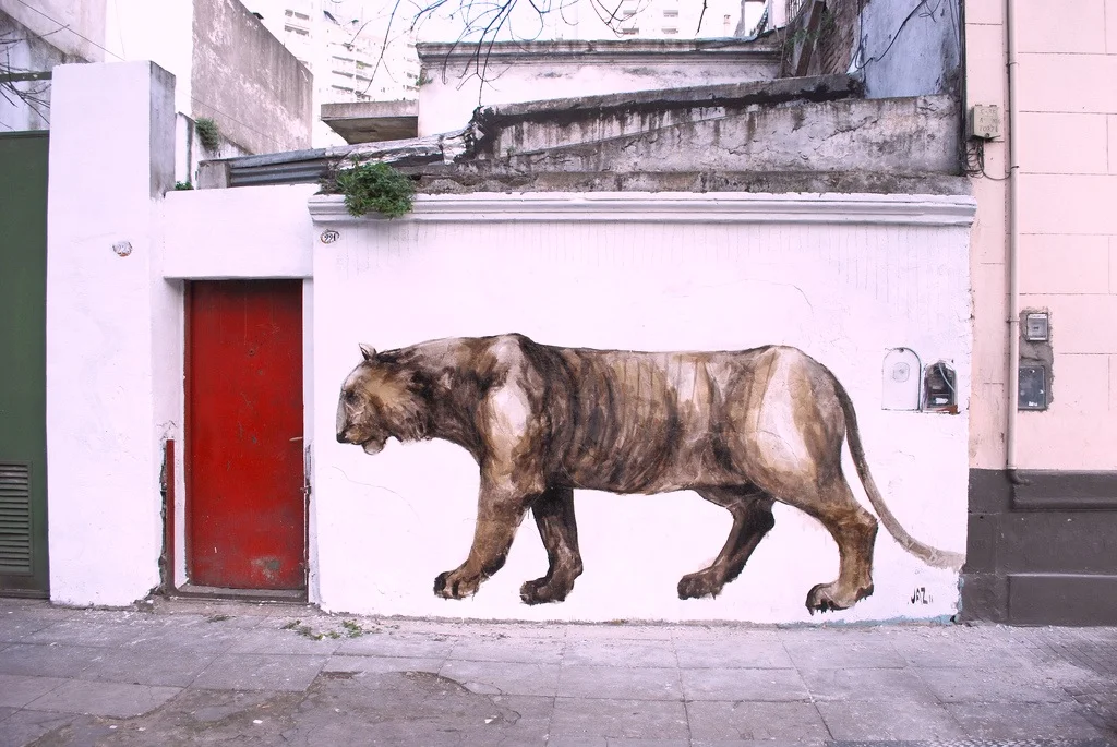 Buenos Aires, Argentina 2010