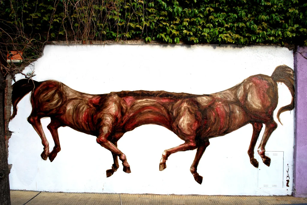 Buenos Aires, Argentina 2011