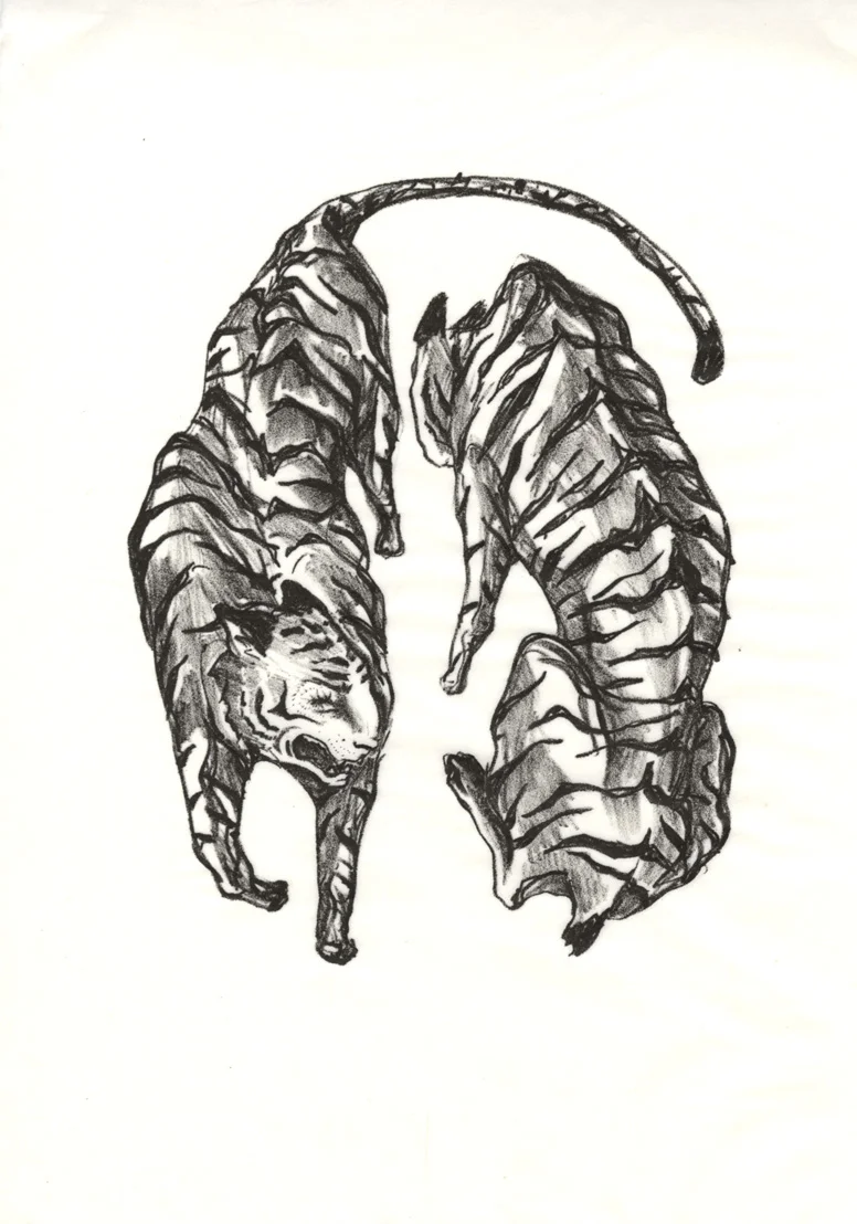 Two Tigers