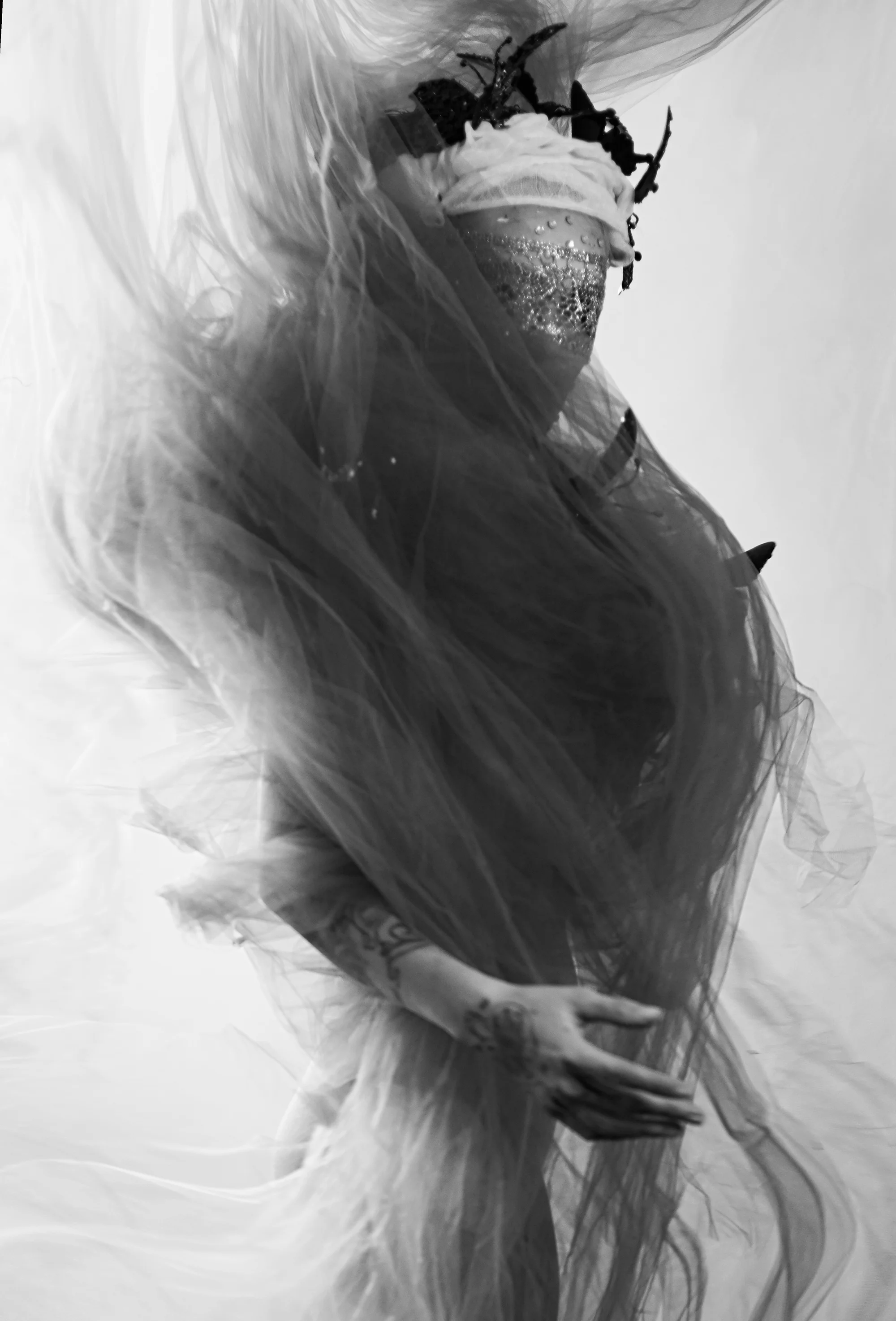 Thebutterfly2online.jpg