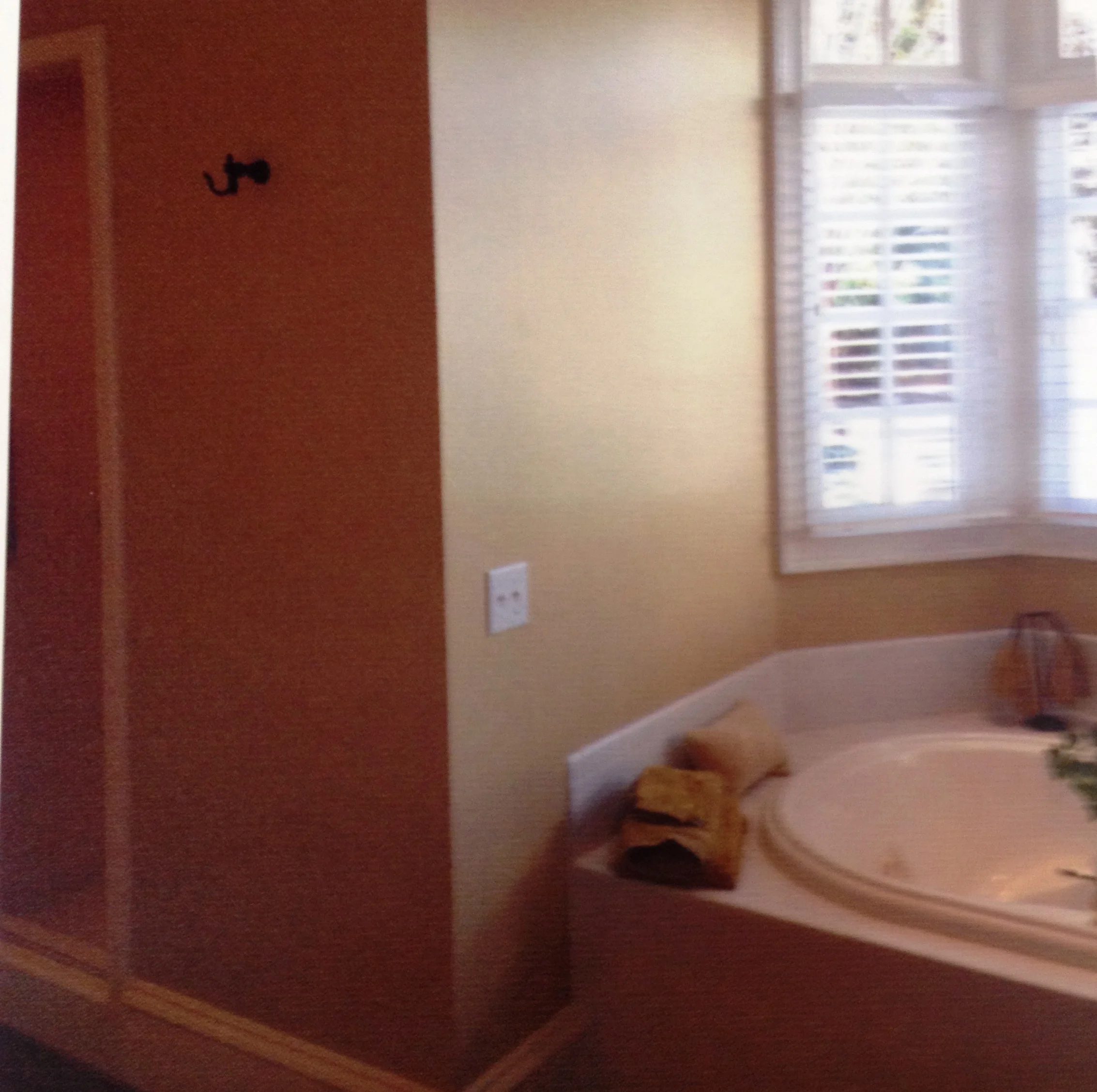 A blase bath with a beautiful view begged for a reno. Julia Wood of The Design First in collaboration with designer Ann Ruth and Rocky Tops made it happen.