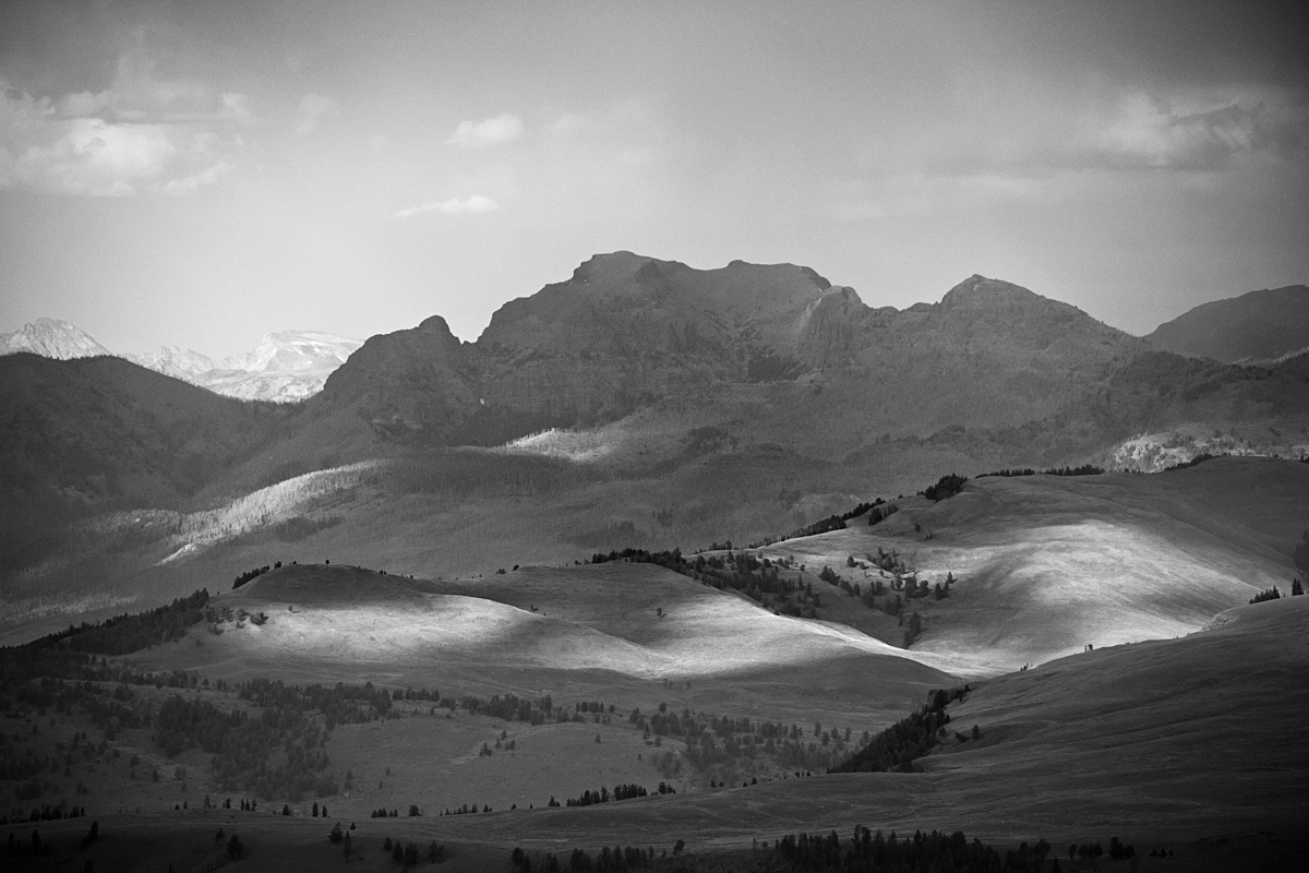 _DSC3952_1.jpg