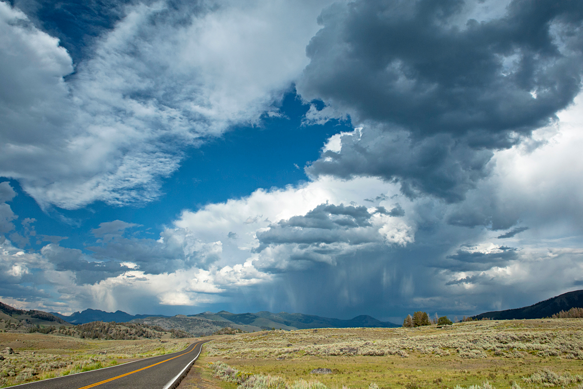 _DSC3958_1.jpg