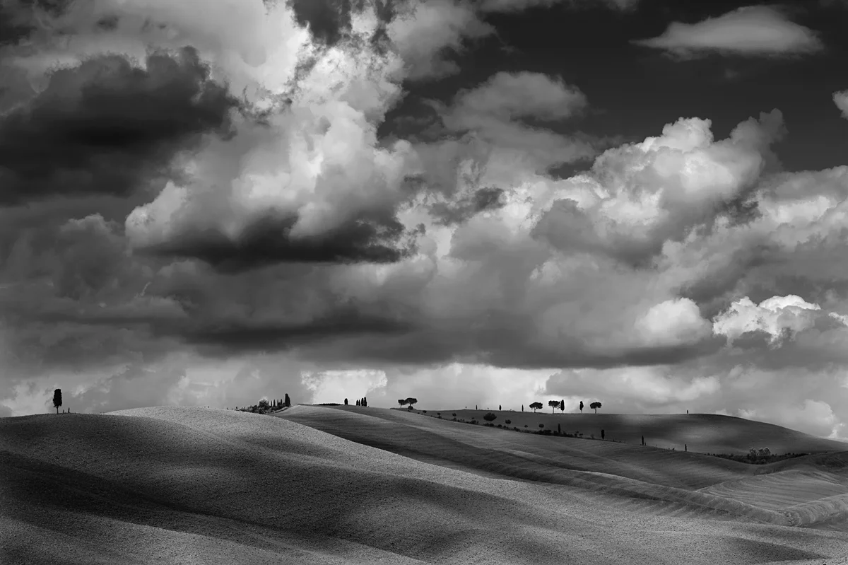 Tuscany-Landscape-for-Olive-Tree.jpg