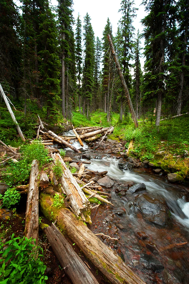 USA2012-58.jpg