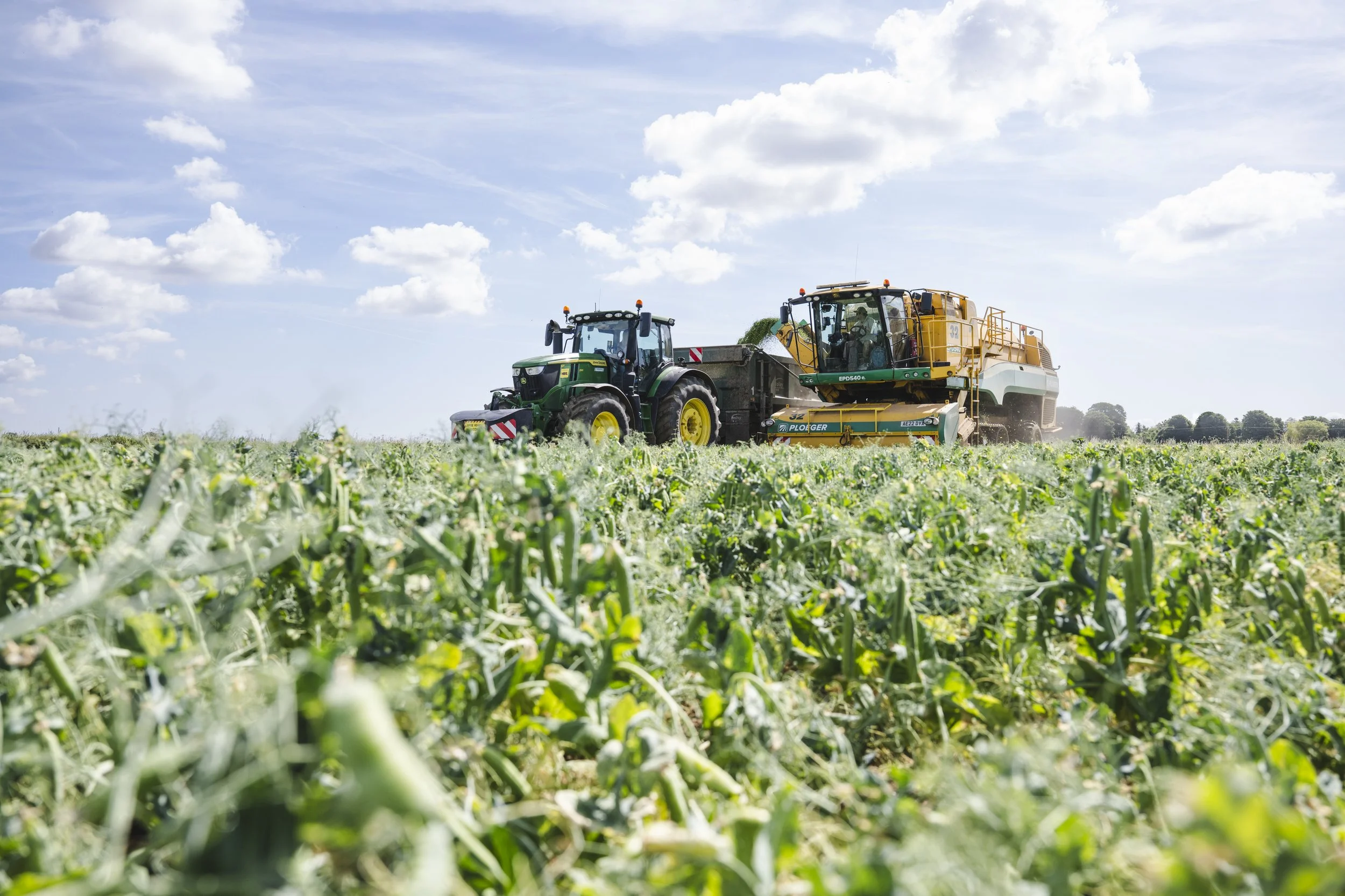 VIPproducers_SR222915_Peas__SimonBuck_0020012.jpg