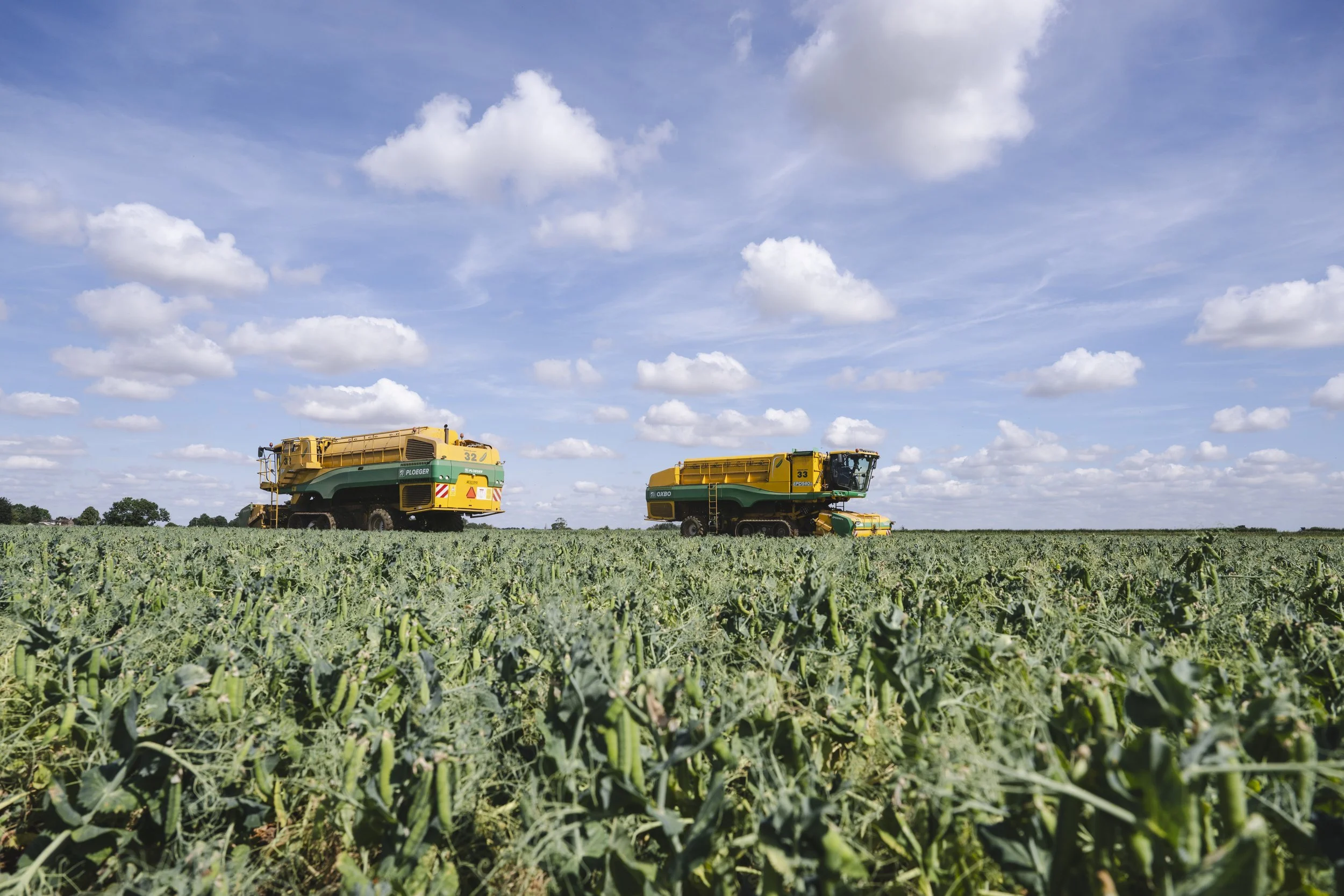 VIPproducers_SR222915_Peas__SimonBuck_0020014.jpg