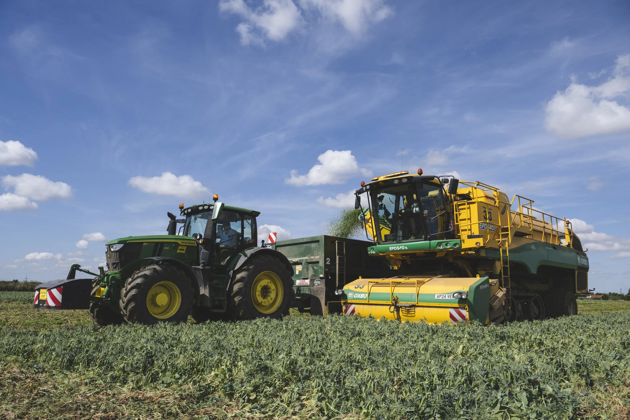 VIPproducers_SR222915_Peas__SimonBuck_0020037.jpg