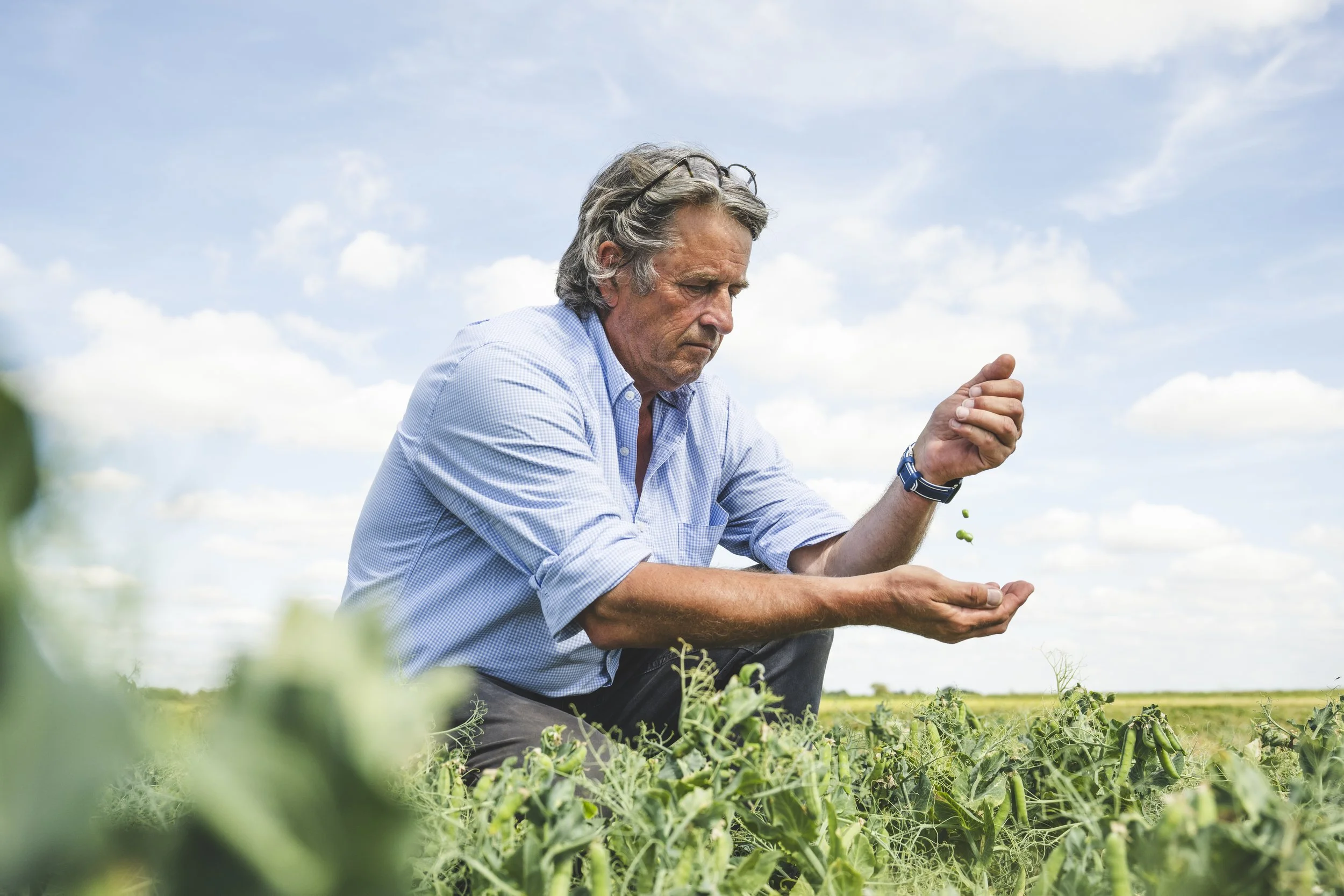 VIPproducers_SR222915_Peas__SimonBuck_0020067.jpg