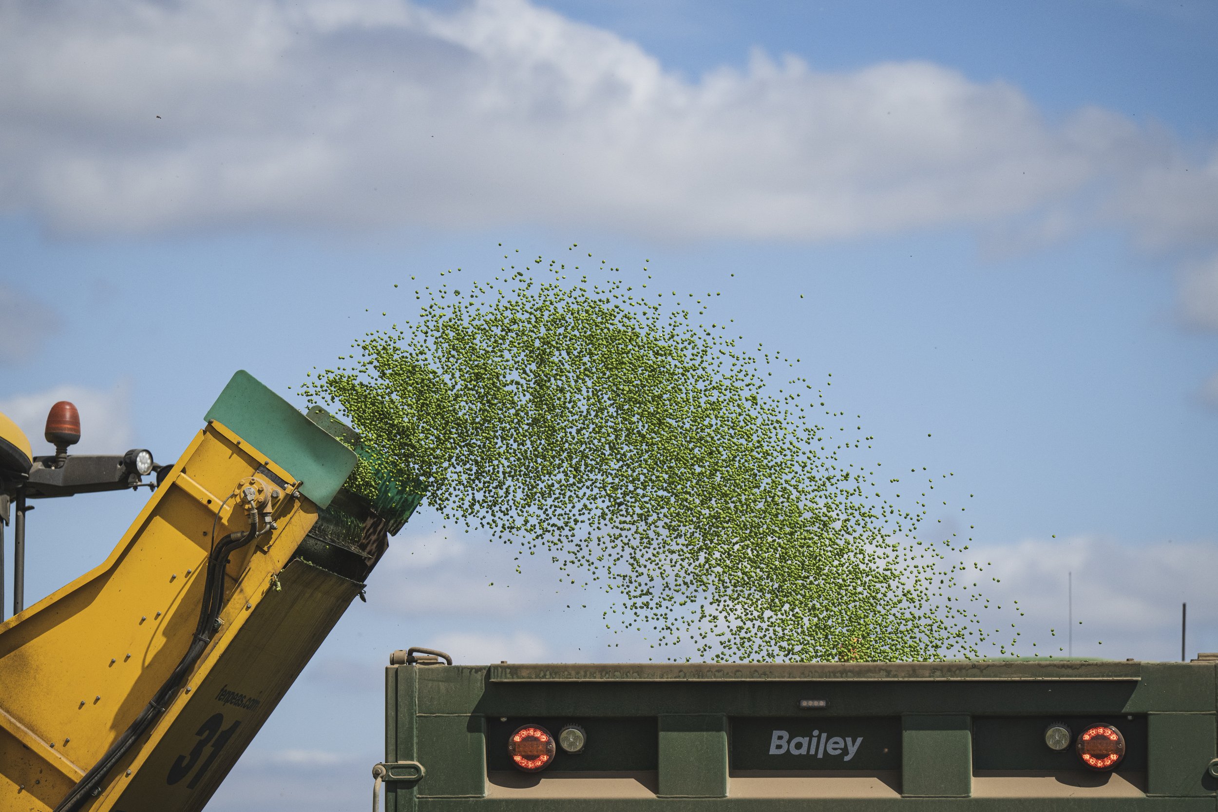 VIPproducers_SR222915_Peas__SimonBuck_0020086.jpg