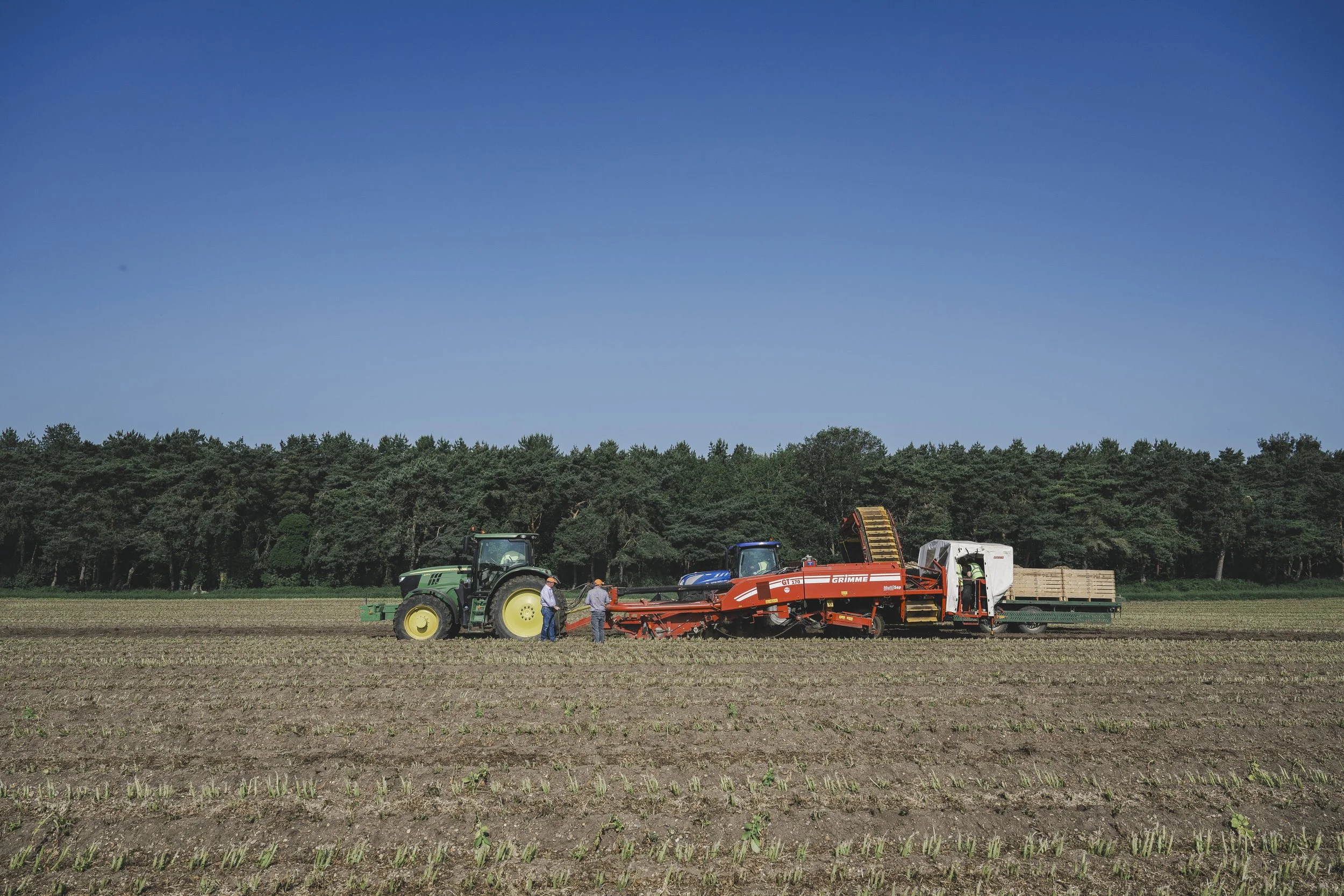 WaitroseWeekend_BabyPotatoSupplier044.jpg