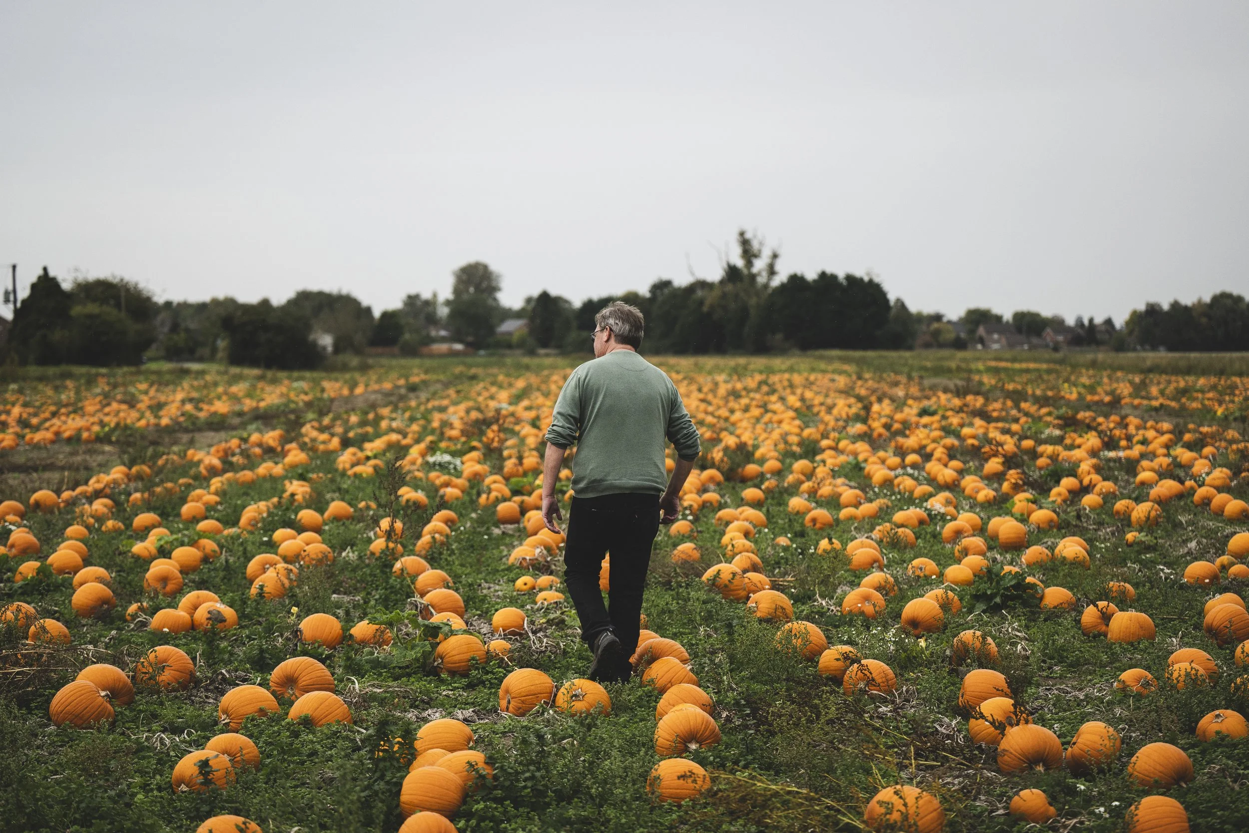 767_WW_SR223005_VIPProducer_HalloweenPumpkins_SteveWhitworth_SimonBuck_0018.jpg
