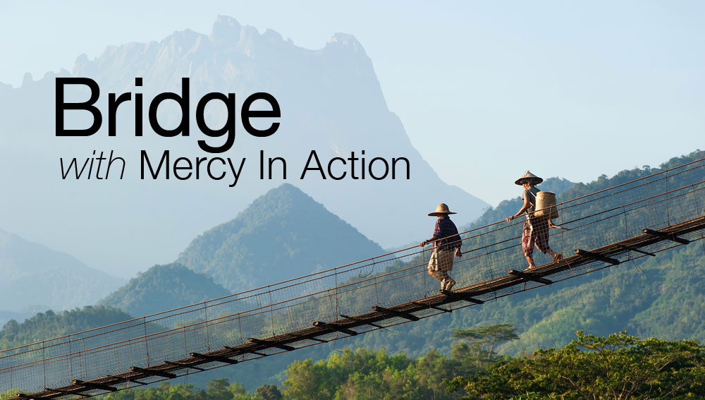 bridge-webpage3.jpg