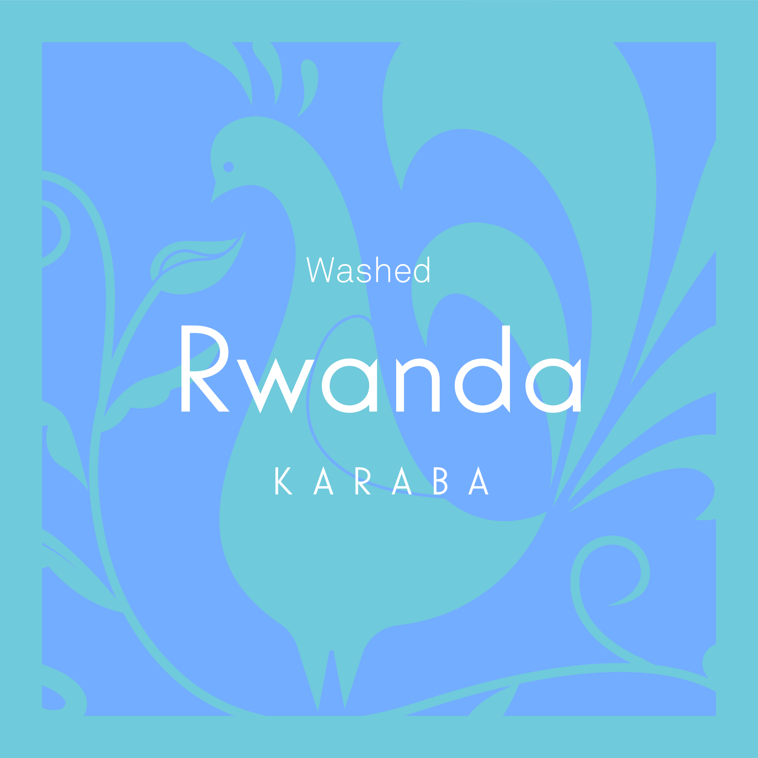 SQ1_Website_Labels-05.png