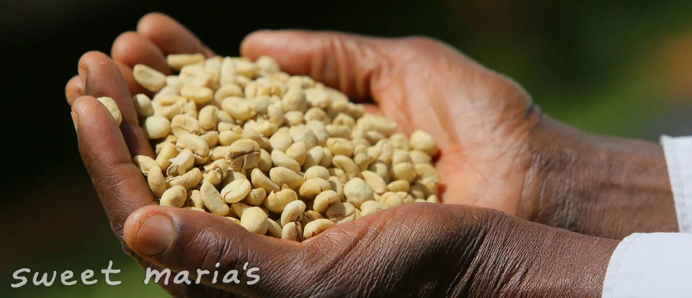 kenya-drying-coffee-parchment-processing_9.jpg