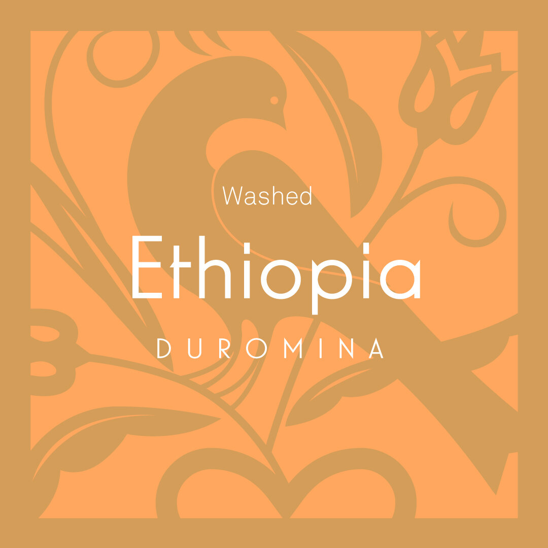 Ethiopia Duromina_1.jpg